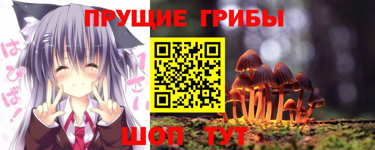 Галлюциногенные грибы ЛСД Тайшет